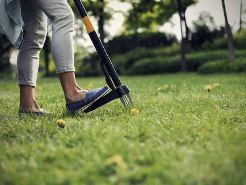 Walka z chwastami - jakie sprzęty ułatwią nielubianą pracę